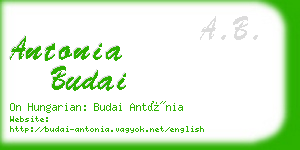 antonia budai business card